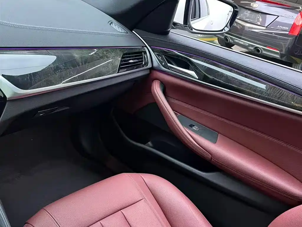 BMW 5 Series 2020 530Li Leading M Sport Package фото 11