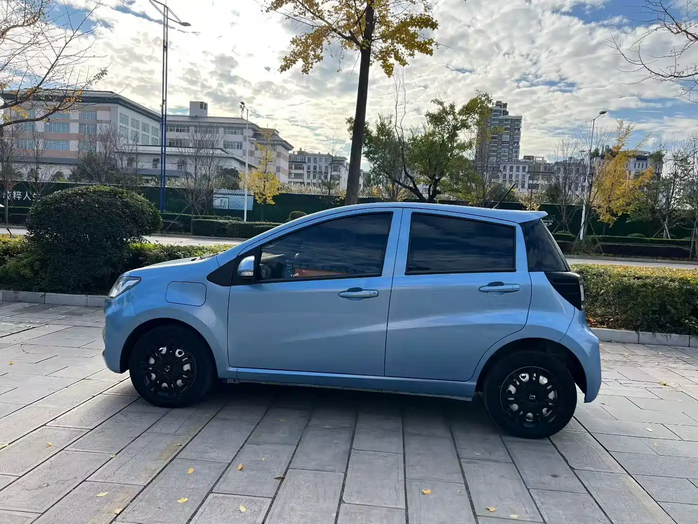 Sehol Flower Fairy 2021 2021 150km Progressive Edition