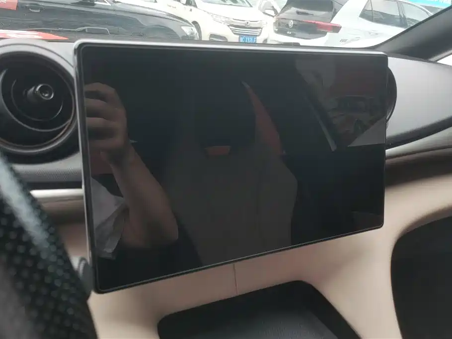 BYD Dolphin 2023 420km Fashion Edition фото 13