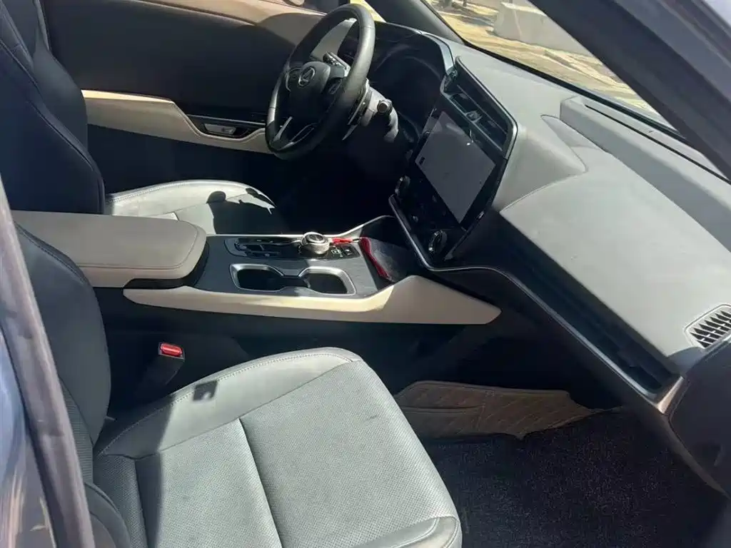 Lexus RZ 2023 450e 4WD Deluxe фото 10