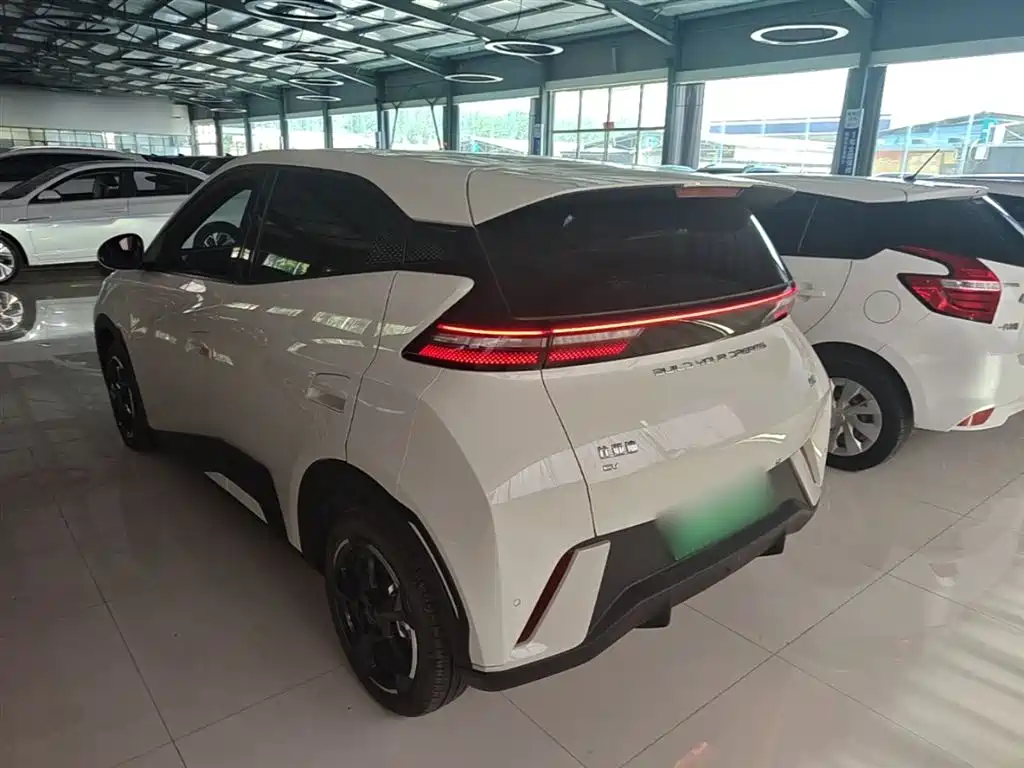 BYD Seagull 2024 Glory Edition 305km Freedom Edition фото 5