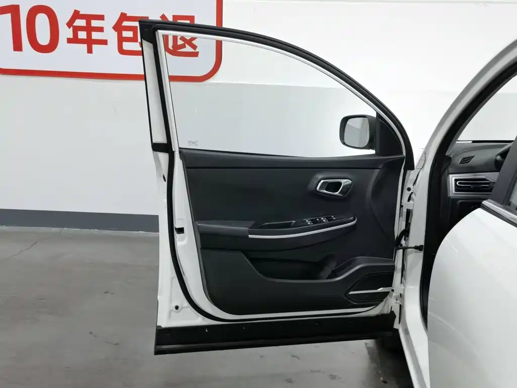 Dayun Yuehu 2022 2021 32.85kWh 2WD Elf Edition