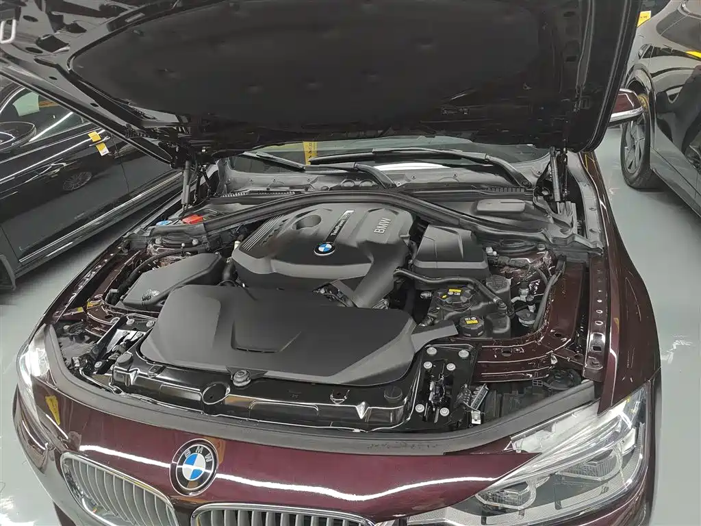 BMW 3 Series 2018 320Li Fashion Style фото 16