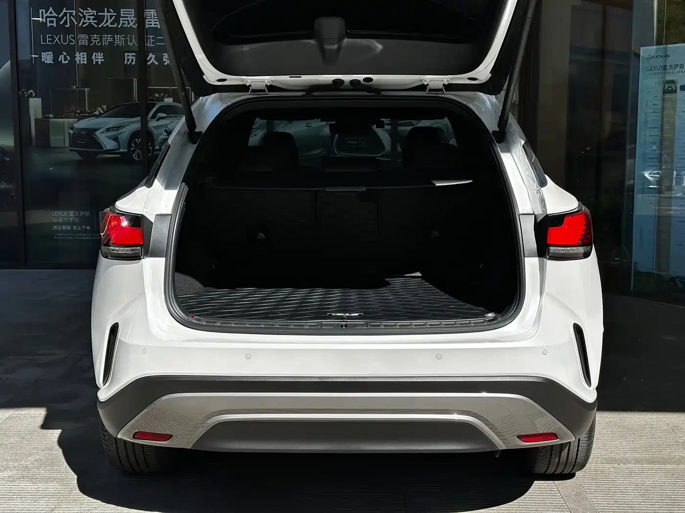 Lexus RX New Energy 2023 450h+ 4WD Enjoyment фото 13