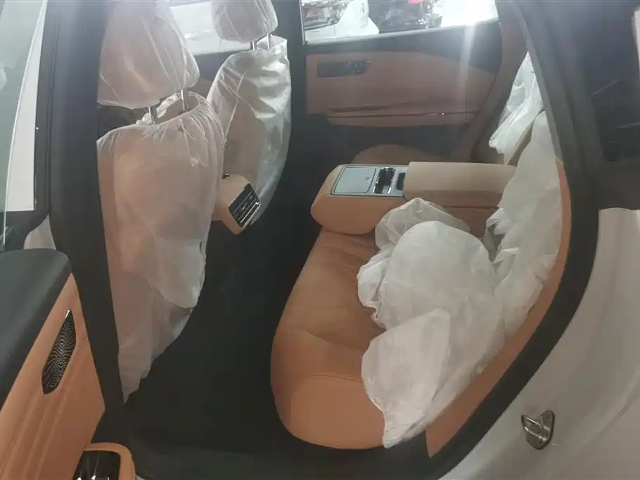 Geely Galaxy Galaxy Xingyao 8 2025 Model 60km EM-i Luxury Edition фото 11