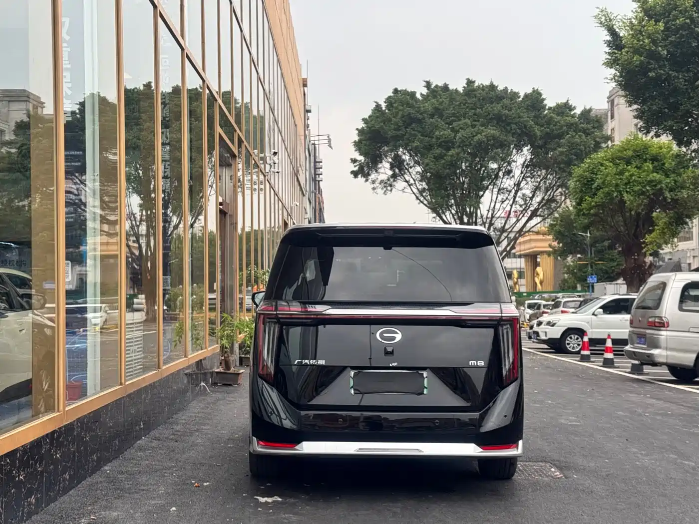 GAC TRUMPCHI YEARNING FOR M8