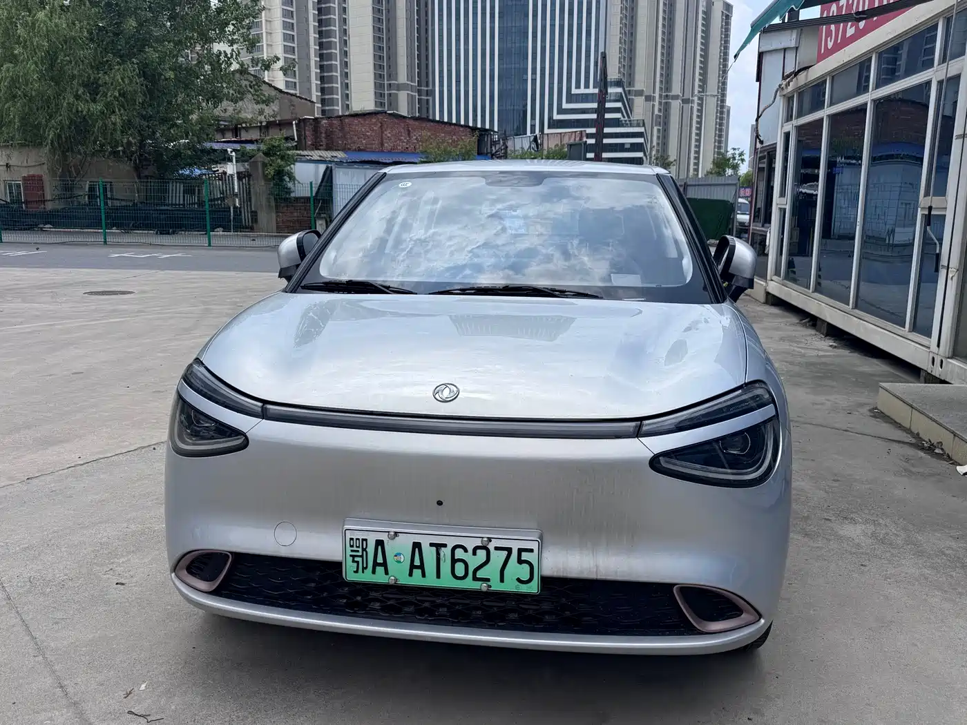 Dongfeng Yipai Nano 01 2025 2024 430 Plus Smart+