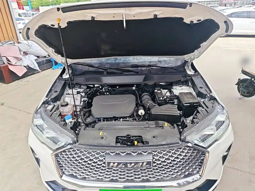 Haval H6 2022 3rd Gen 1.5T Auto 2WD Max фото 20