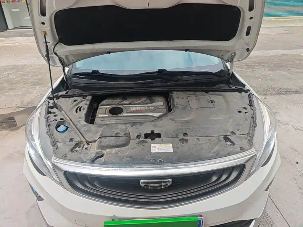 صورة 20 - Geely Emgrand GS