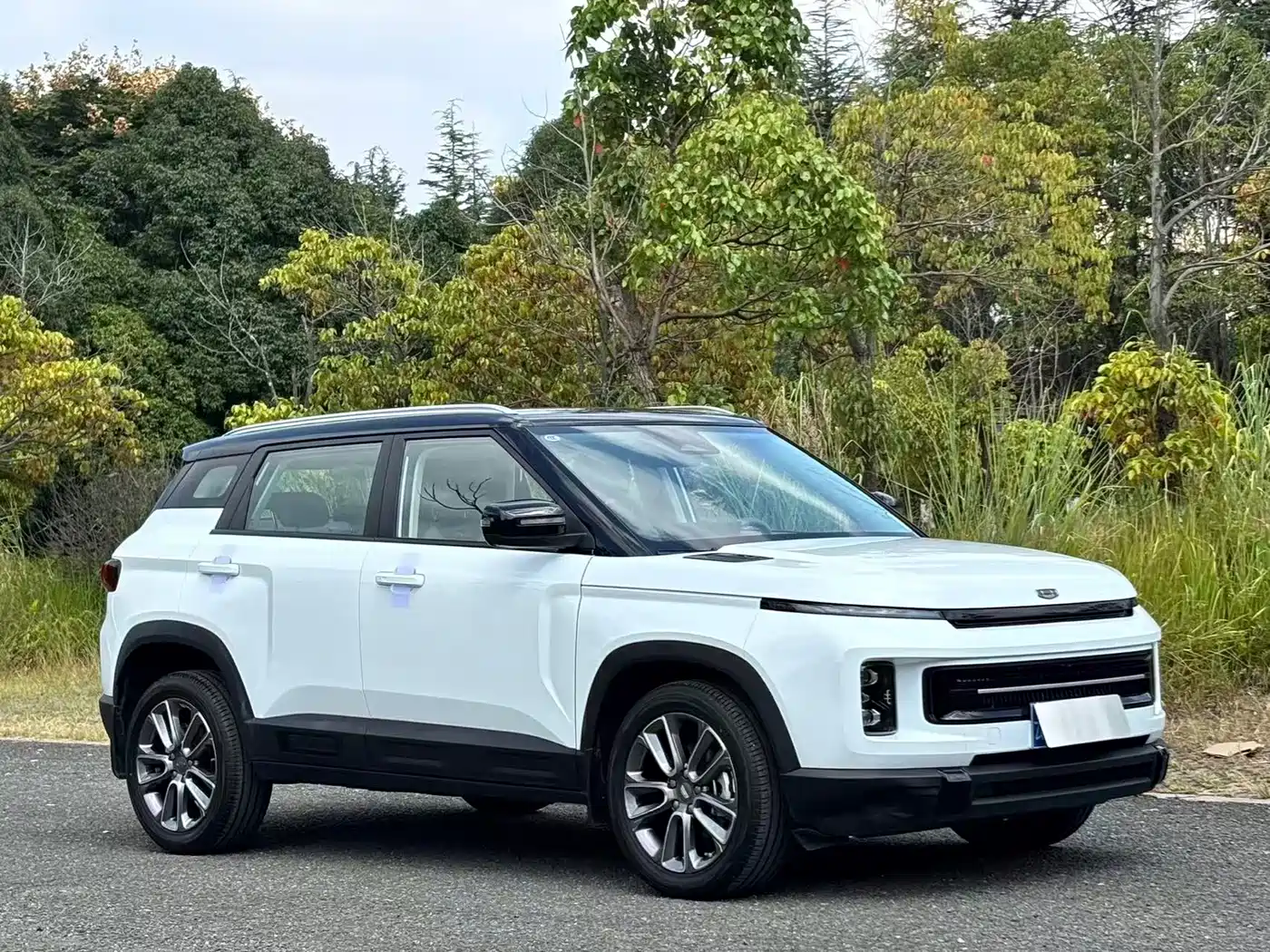2025 Geely ICON