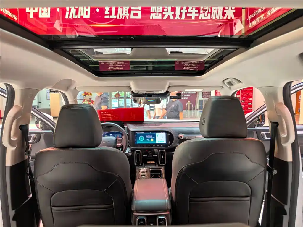 Haval Big Dog 2021 1.5T DCT 2WD Border Collie Edition фото 13