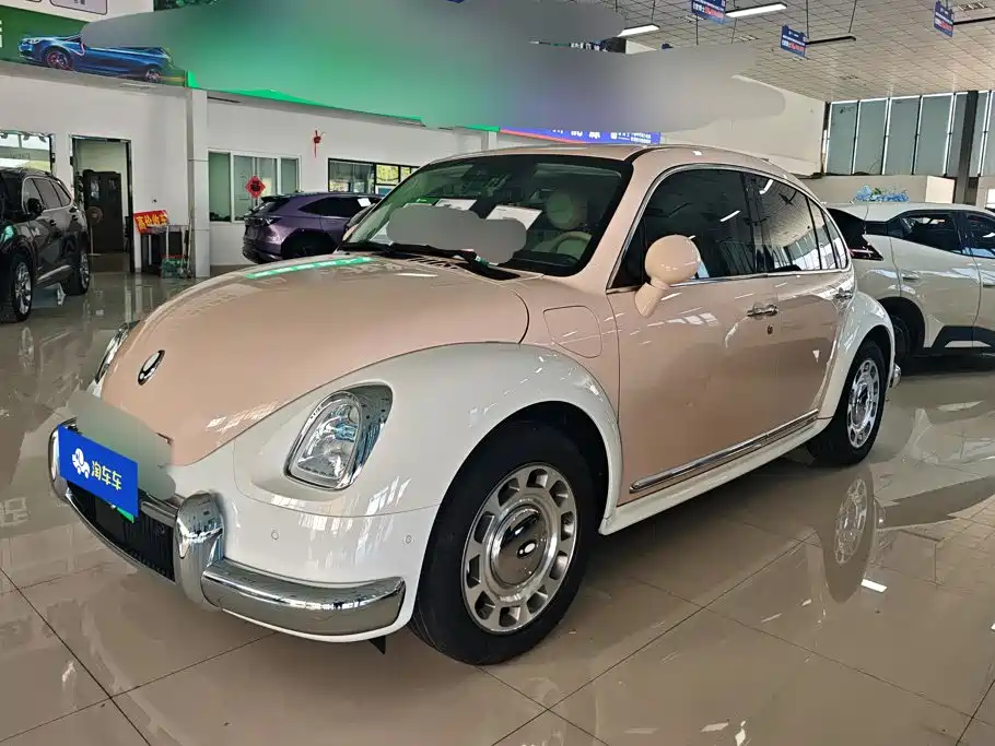Ora Ballet Cat 2025 2023 401km Premium Model