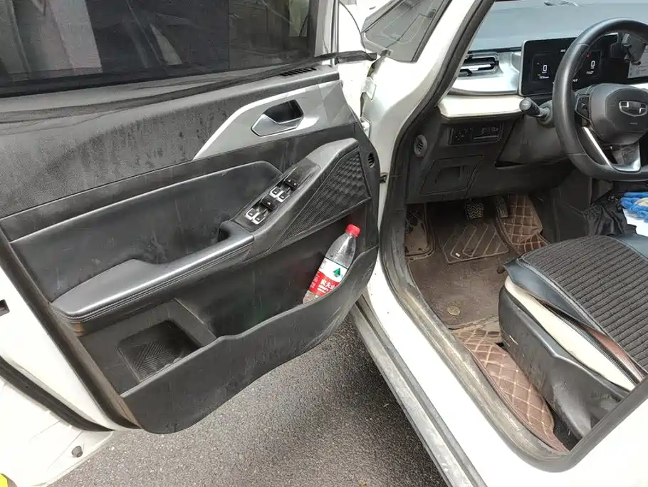 Geely Geometry E Firefly 2022 2022 401KM Delicate Tiger 4-seater