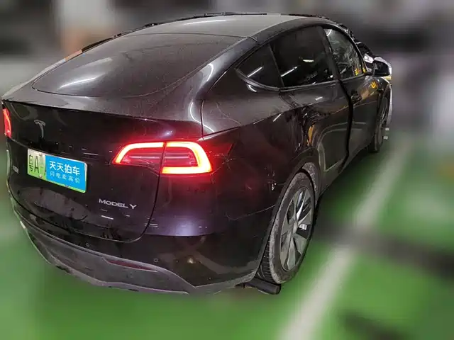 Tesla Model Y 2021 Standard Range Rear-Wheel Drive — фото 2
