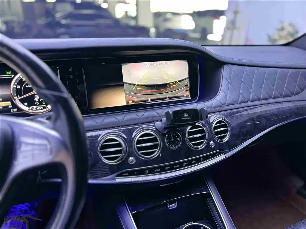 Mercedes-Benz S-Class 2014 S 500 L фото 9