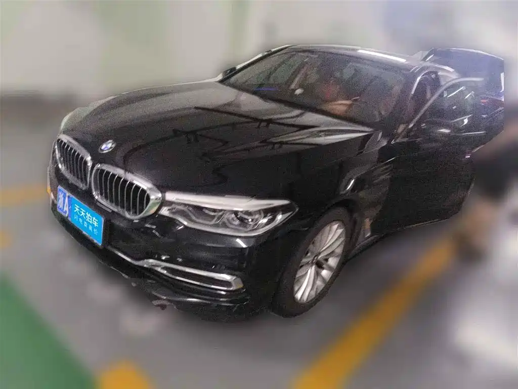  BMW BMW 5 Series 2020 530Li Leading Luxury Package