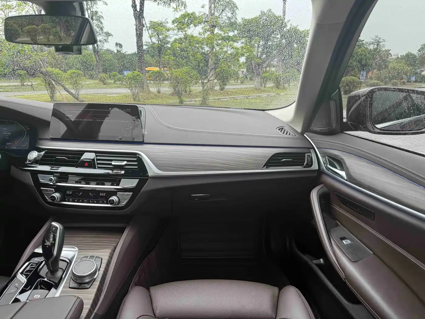 BMW 5 Series 2020 530Li Premium Luxury Package фото 12