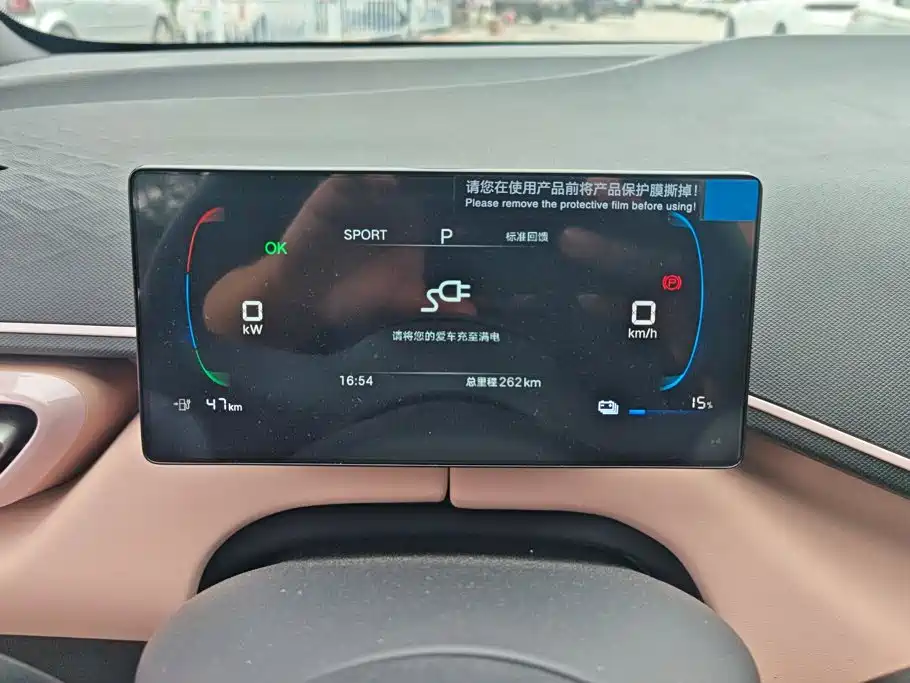 BYD Seagull 2026 2025 Smart Drive Edition 305km Vitality Version