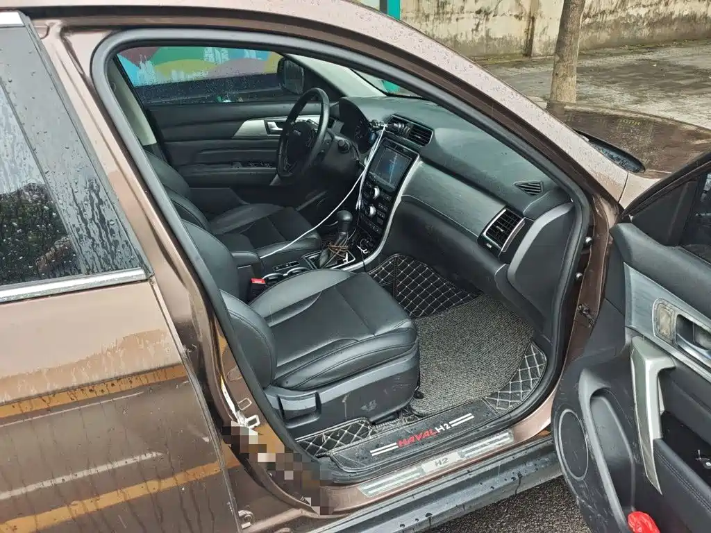 Photo 19 - Haval H2