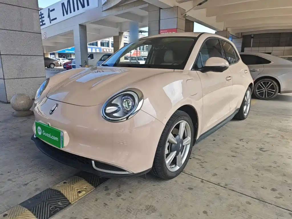 Ora Good Cat 2024 2023 401km Standard Range Luxury LFP