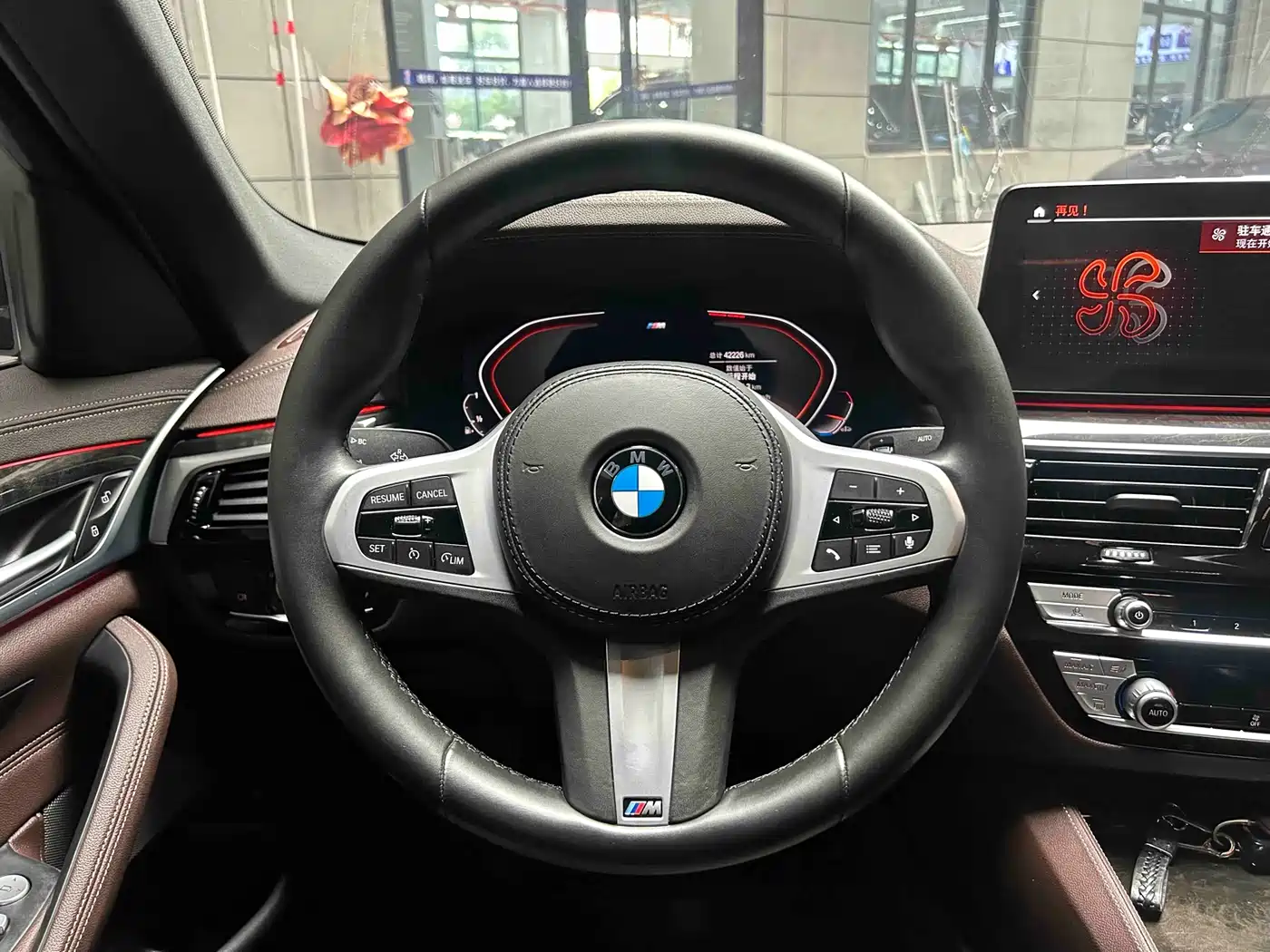 BMW 5 Series 2021 525Li M Sport Package фото 8