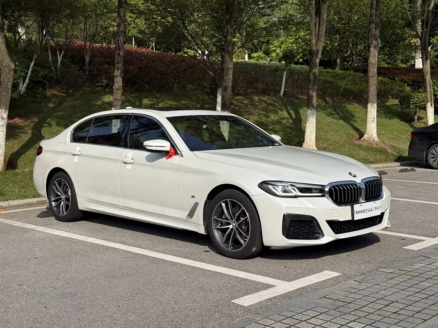 BMW 5 Series 2022 Model Second Facelift 525Li M Sport Package фото 9