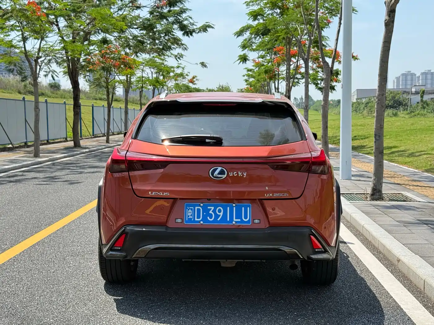 Lexus UX 2019 260h F SPORT Edition (China V) фото 5
