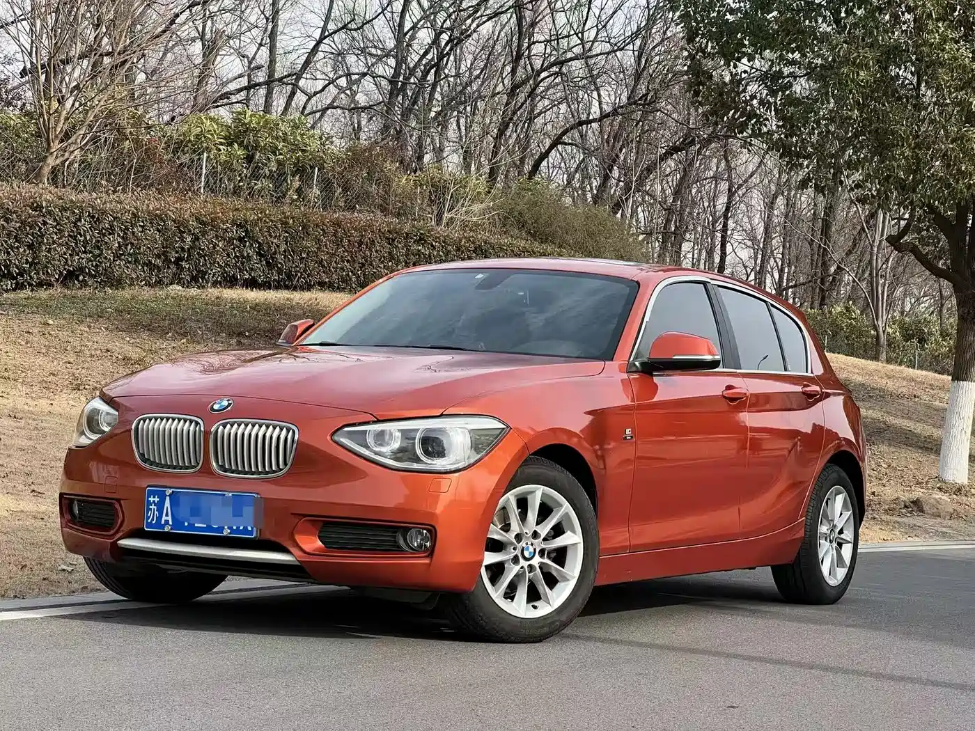 BMW 1 Series (Import) 2013 Facelift 116i Urban Model