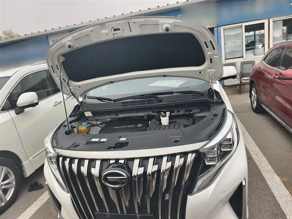 GAC Trumpchi Trumpchi M8 2021 Master Series 390T Ultimate Edition фото 20