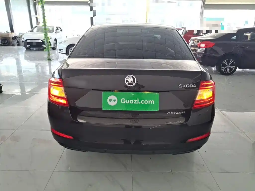 Škoda Octavia 2017 1.6L Automatic Pioneer Edition фото 6