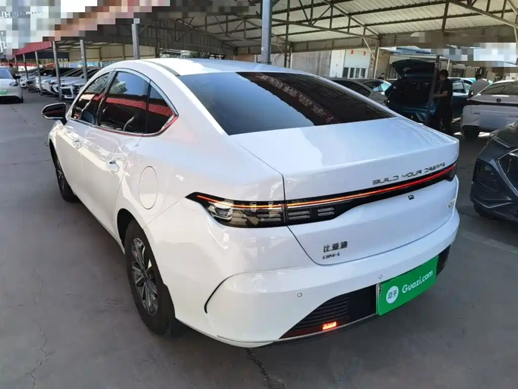 BYD Destroyer 05 2024 Glory Edition DM-i 55KM Luxury фото 5