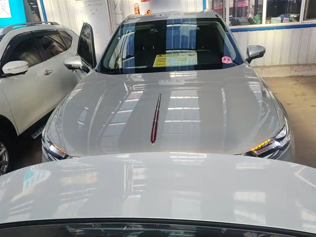 Hongqi HS5 2019 2.0T Smart Connect Enjoy Edition фото 3