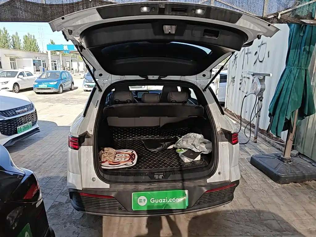 BYD Song Pro New Energy 2024 Glory Edition DM-i 71KM Pilot фото 19