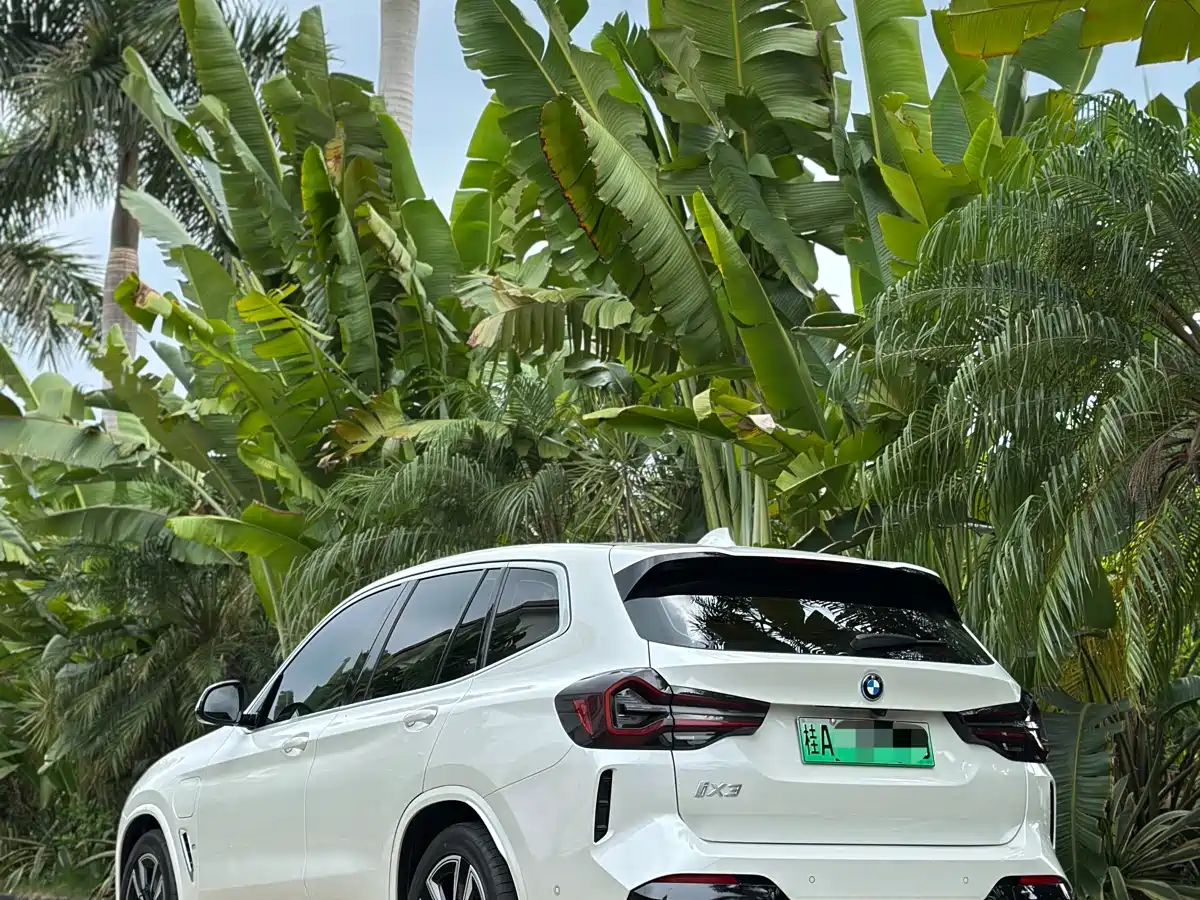 BMW iX3 2022 Leading Edition фото 8
