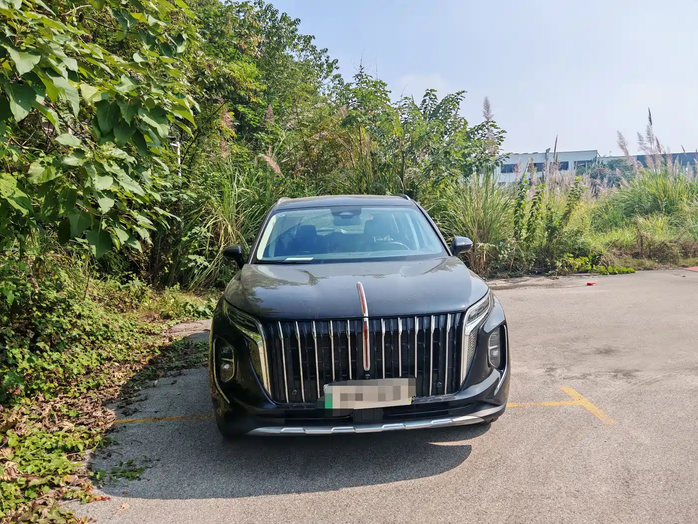 Hongqi HS7 PHEV 2024 2.0T PHEV 4WD Flagship Edition 6-seater фото 2