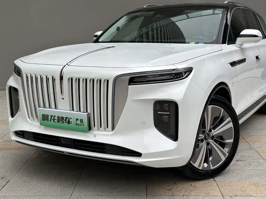 Hongqi E-HS9 2022 660km Qi Chang Edition (6-seater) фото 21