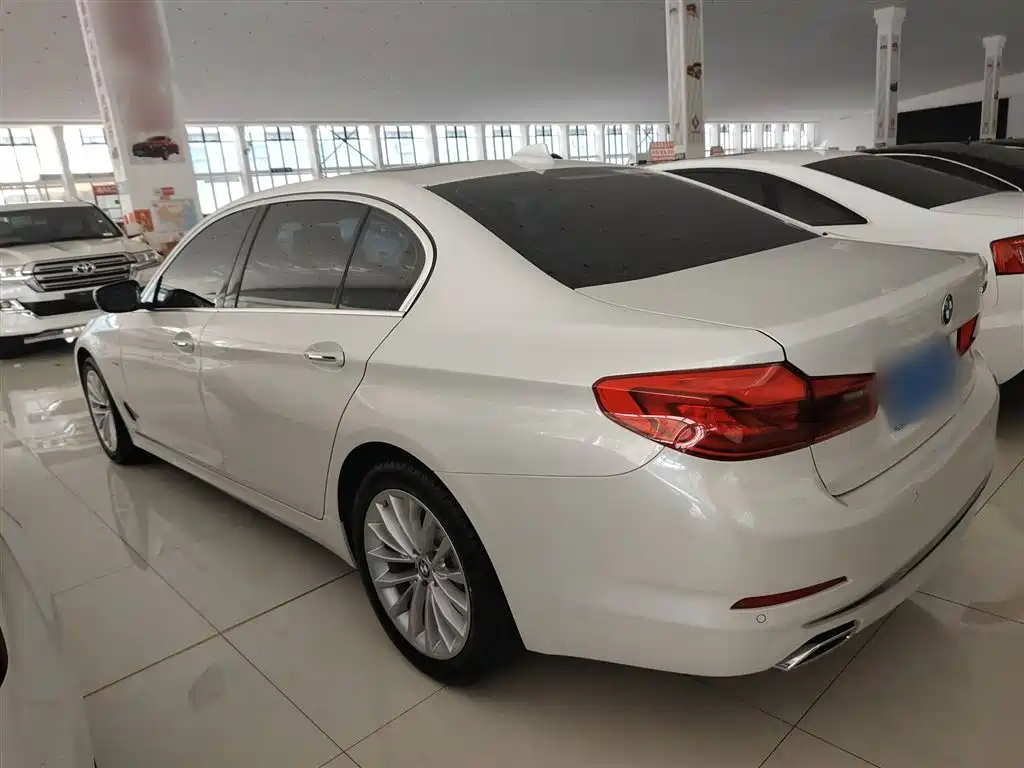 BMW 5 Series 2018 530Li Leading Luxury Package фото 7