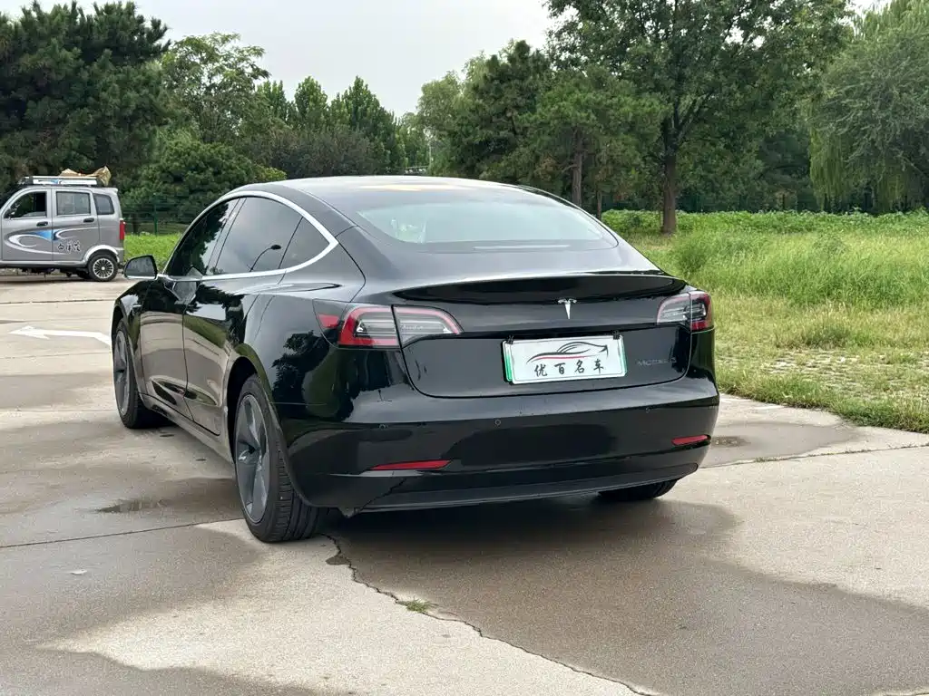 Tesla Model 3 2020 2020 Standard Range Rear-Wheel Drive Upgrade