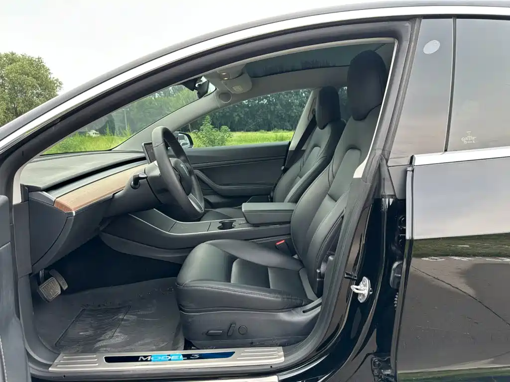 Tesla Model 3 2020 2020 Standard Range Rear-Wheel Drive Upgrade