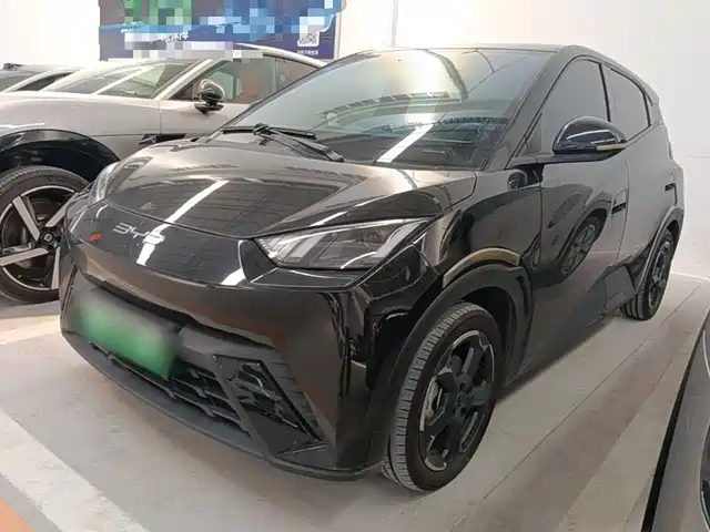 BYD Seagull 2023 Freedom Edition