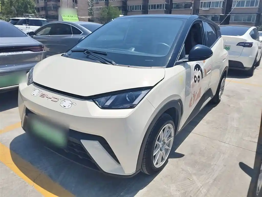 BYD Seagull 2023 Vitality Edition
