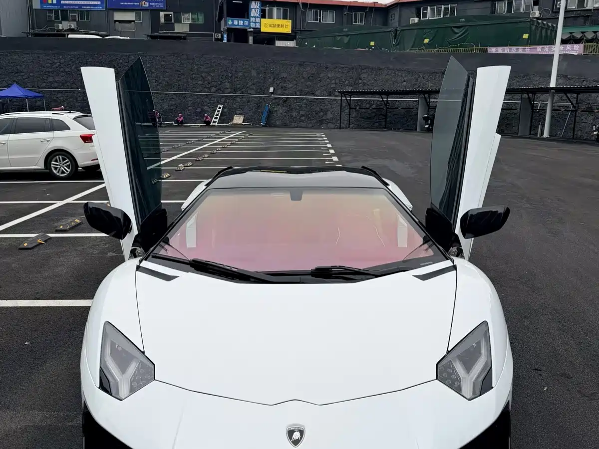 Lamborghini Aventador 2011 LP 700-4 фото 19