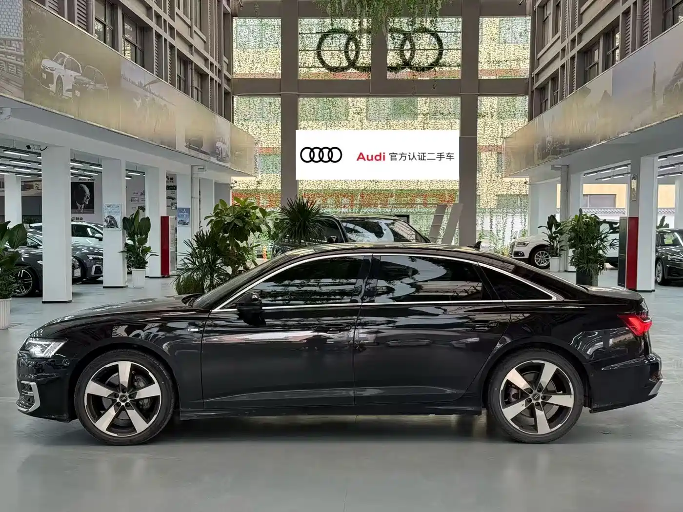 Audi A6L 2023 45 TFSI Premium Selection Dynamic фото 2