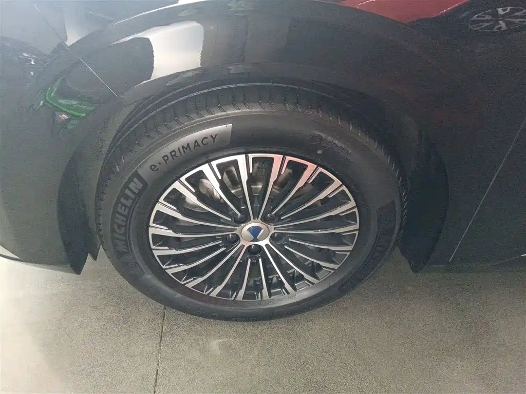 Denza D9 2024 DM-i 980 AWD Prestige фото 25