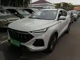 Фото 1 - Changan Oshan Changan Oushang X5