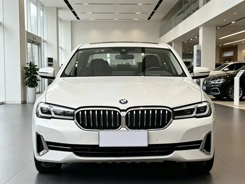 BMW 5 Series 2021 530Li Leading M Sport Package фото 3