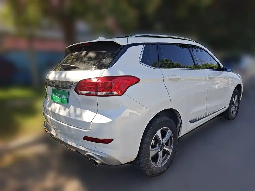Haval H6 Coupe 2018 Red Label 1.5T Auto 2WD Luxury Edition фото 5