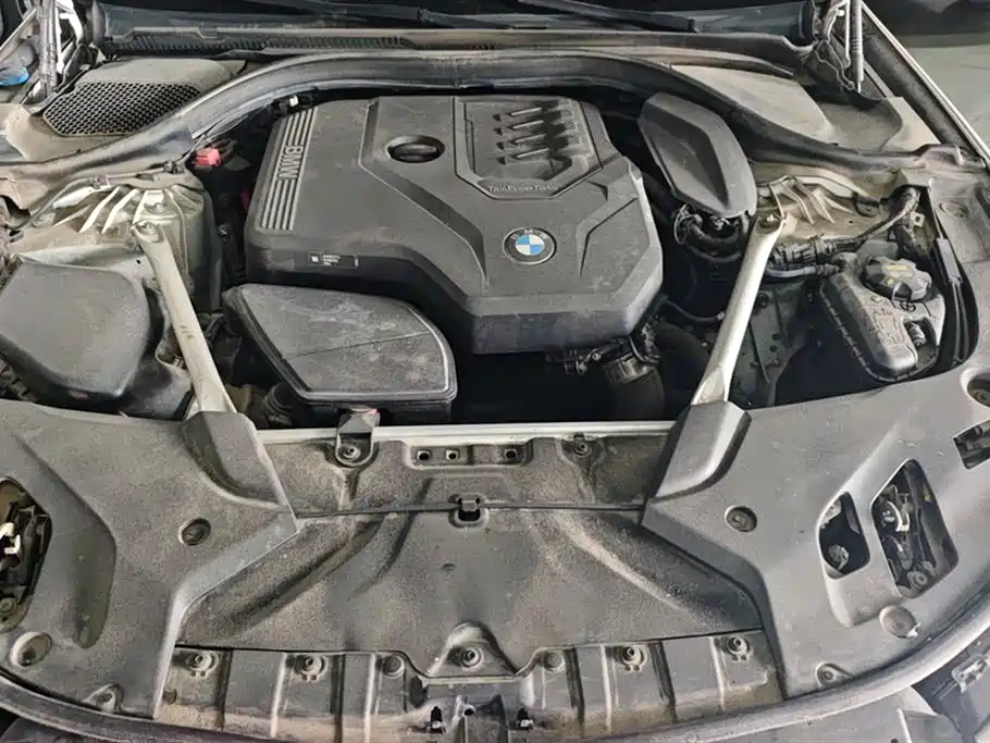 BMW 5 Series 2021 525Li M Sport Package фото 10