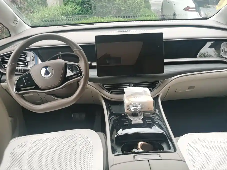 Denza D9 2022 DM-i 970 AWD Flagship фото 12