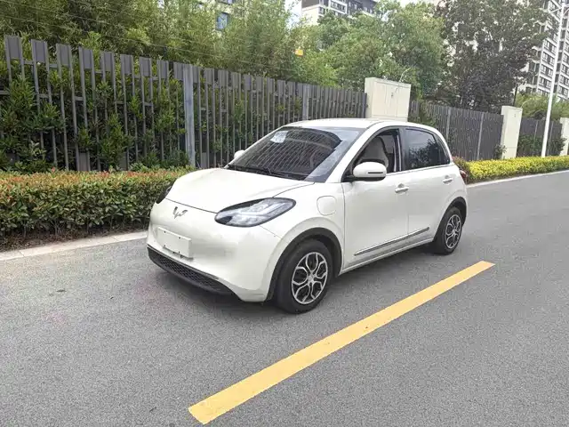Wuling Motors Wuling Bingo 2023 Model 333km Telepathic Connect+ Version